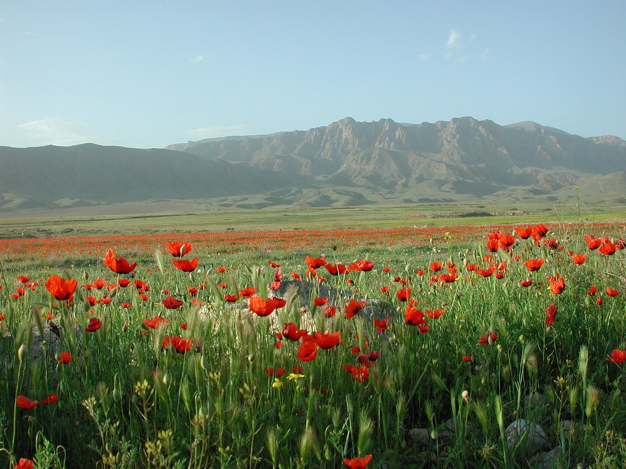 10 Sự Thật Thú Vị Về Armenia